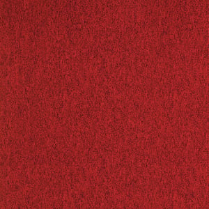 Compact 580 - Main Image