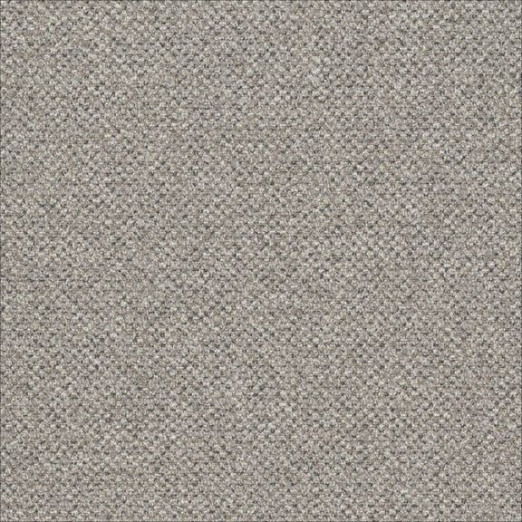 Desso Solid AC73 1321 