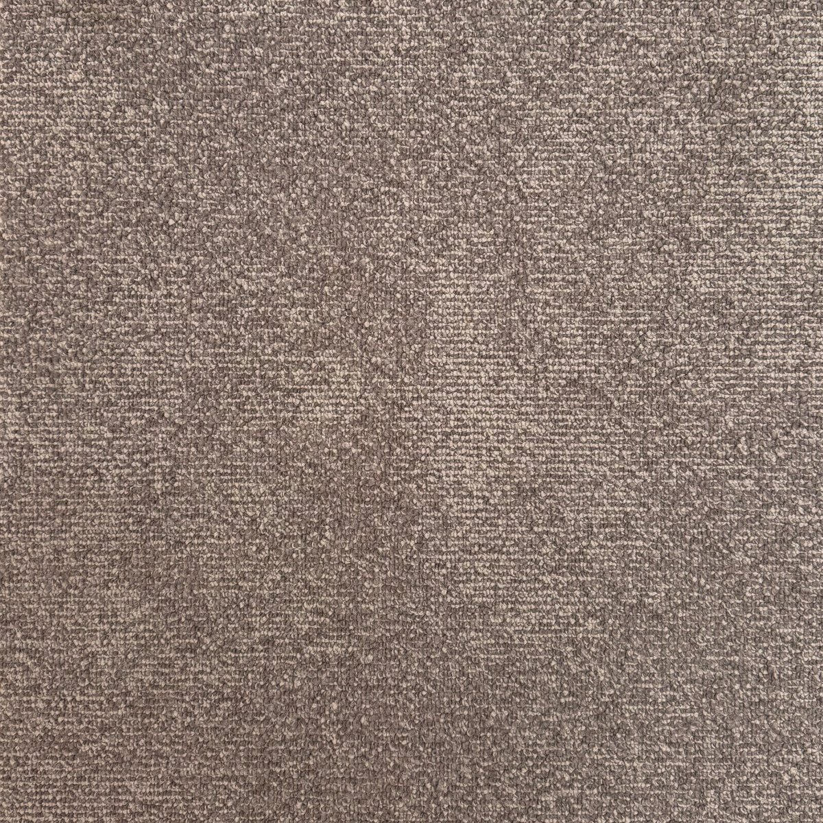 Moquette Beige Foncé - Main Image