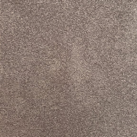 Moquette Beige Foncé