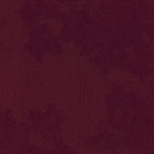 Velvet& 346 - Main Image