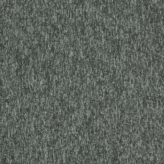 New Horizons II 4117007 Ash