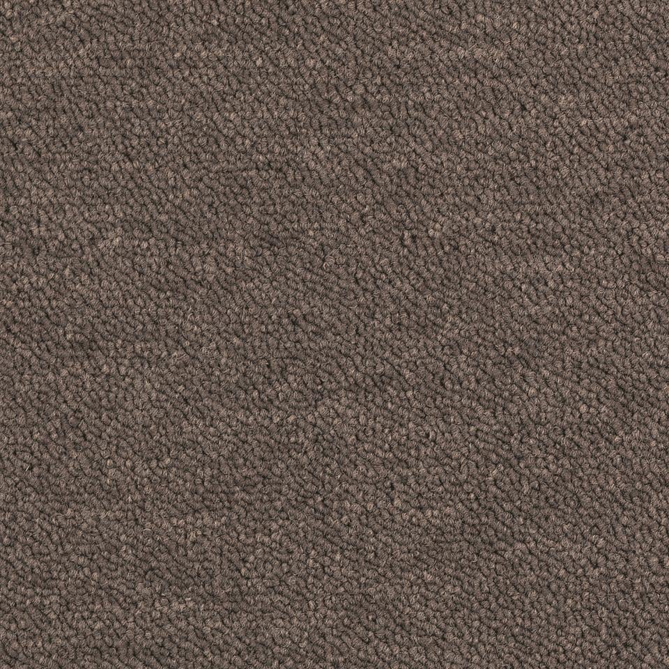 Tecsom Brun - Main Image