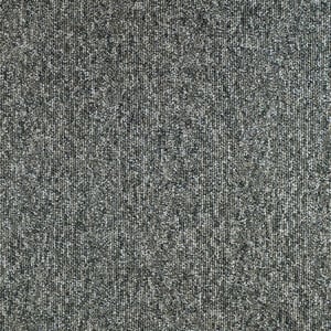 Winter 938 - Main Image