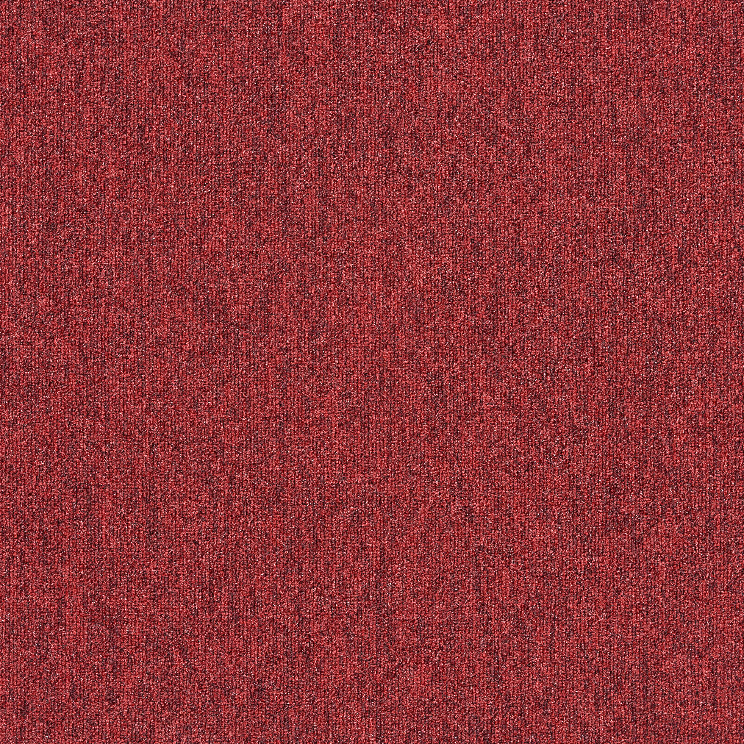 Employ Loop - 4197024 Salsa - Main Image