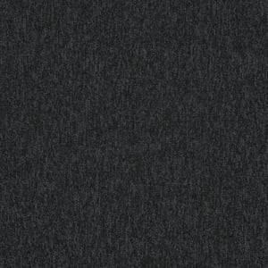 New Horizons II - 4117010 Carbon - Main Image