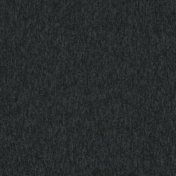 New Horizons II - 4117010 Carbon
