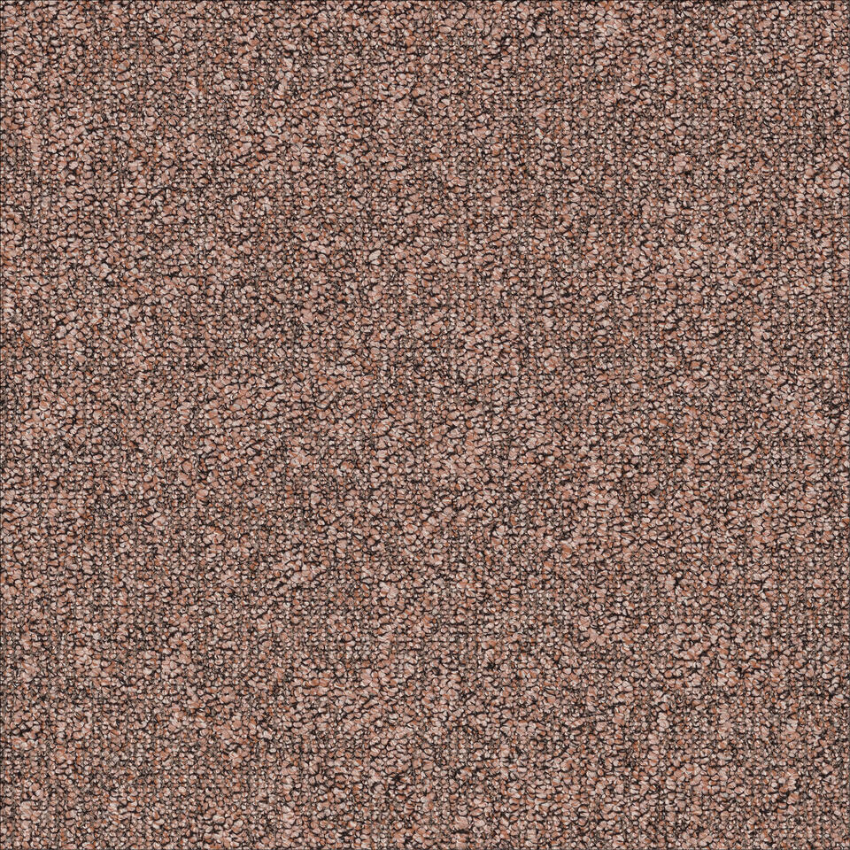 DESSO AirMaster Earth AD31 2083 - Main Image