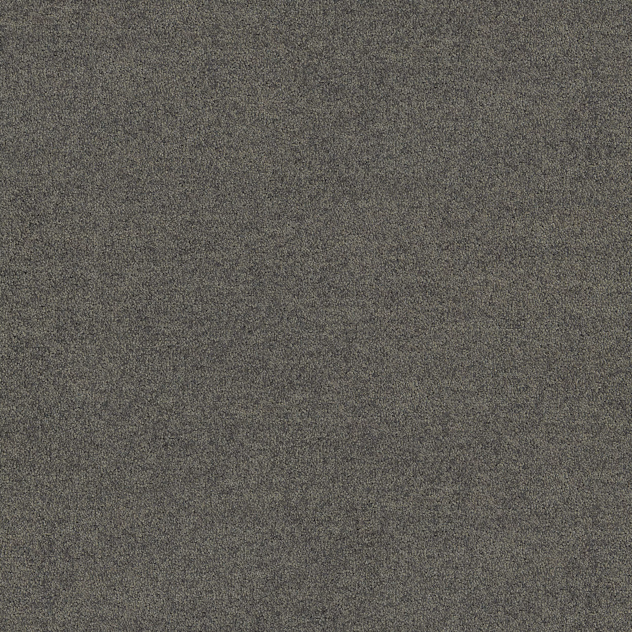 Polichrome Solid - 4266008 - Mole - Main Image