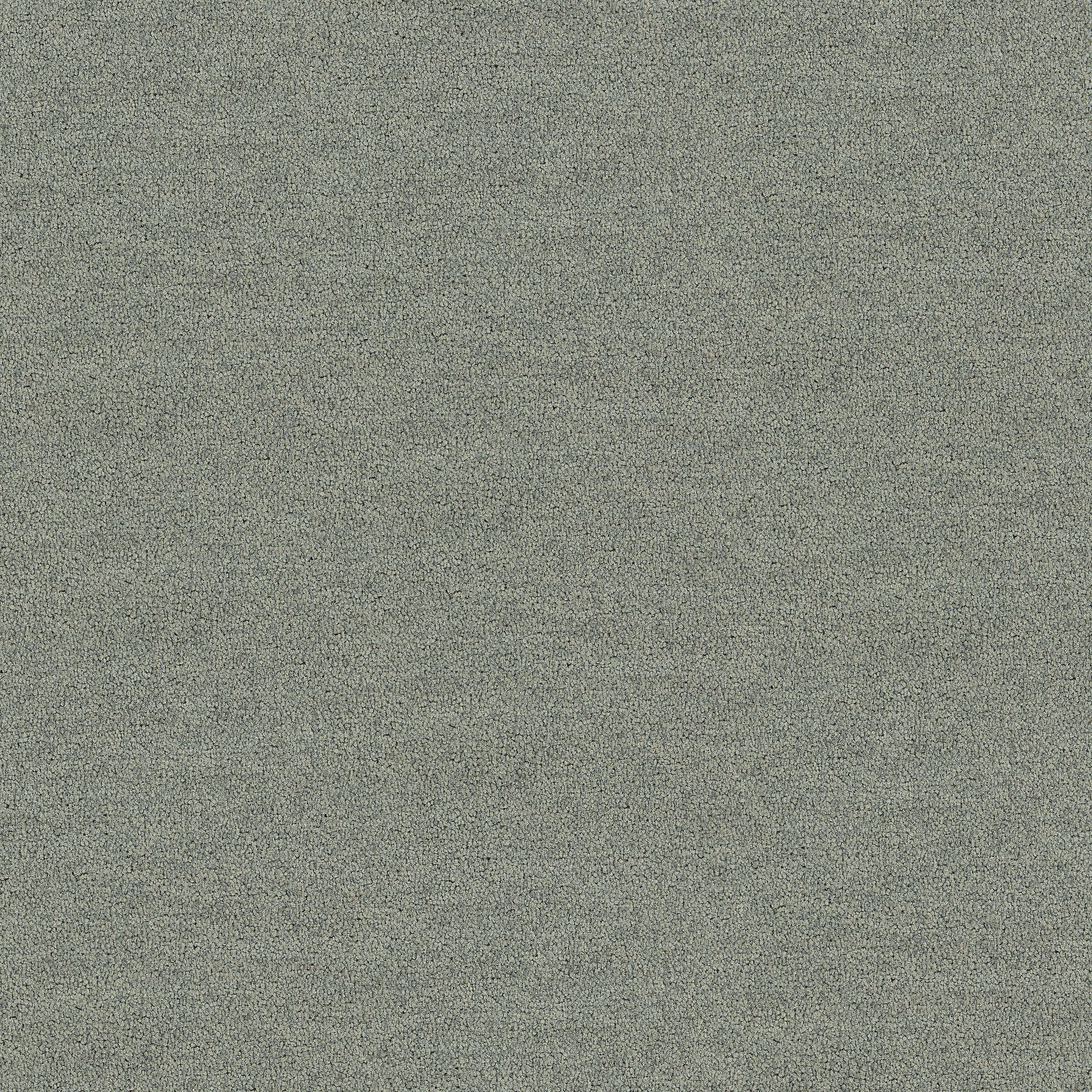Polichrome Solid - 4266005 - Silk Grey - Main Image
